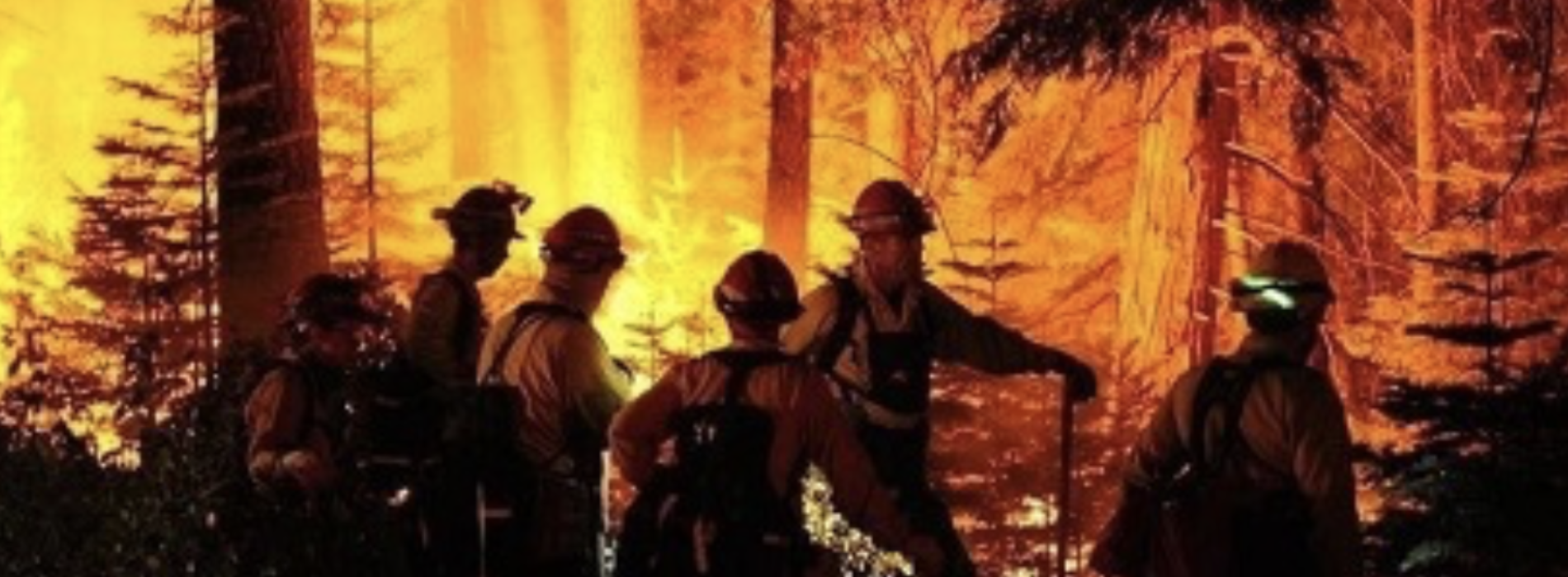 Incendio consume cientos de hectáreas de bosque en Oaxaca